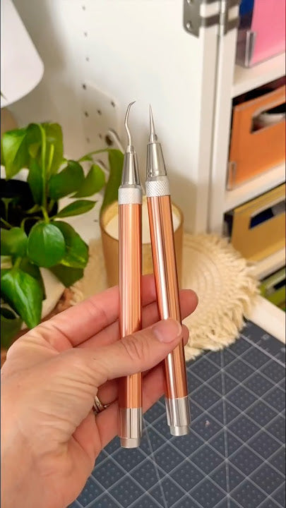 LIMPIADOR OIDOS CON LUZ LED ENDOSCOPIO